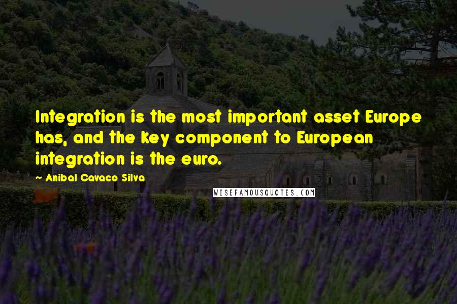 Anibal Cavaco Silva quotes: Integration is the most important asset Europe has, and the key component to European integration is the euro.