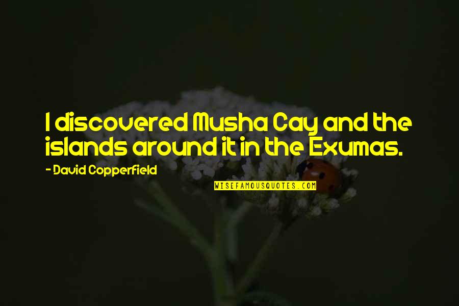 Anide Quotes By David Copperfield: I discovered Musha Cay and the islands around Anide Quotes By David Copperfield: I discovered Musha Cay and the islands around