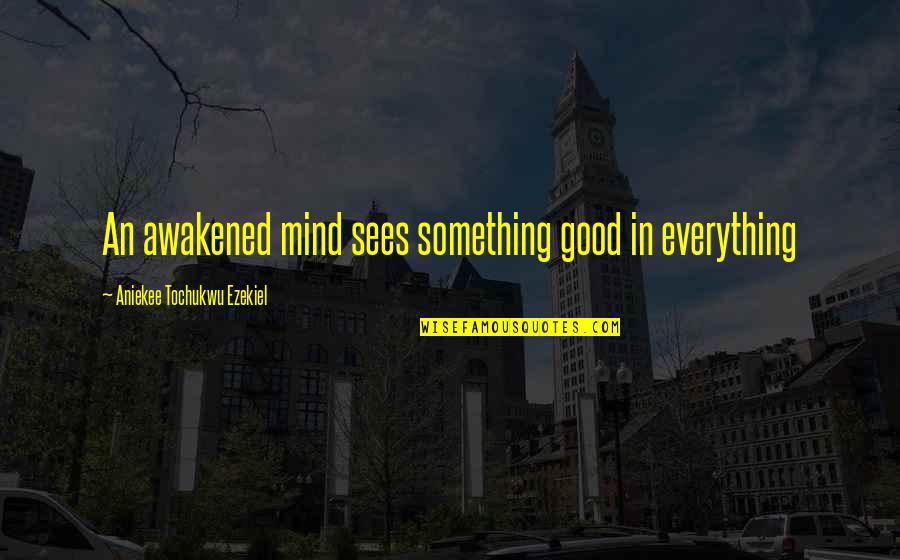 Aniekee Quotes By Aniekee Tochukwu Ezekiel: An awakened mind sees something good in everything Aniekee Quotes By Aniekee Tochukwu Ezekiel: An awakened mind sees something good in everything