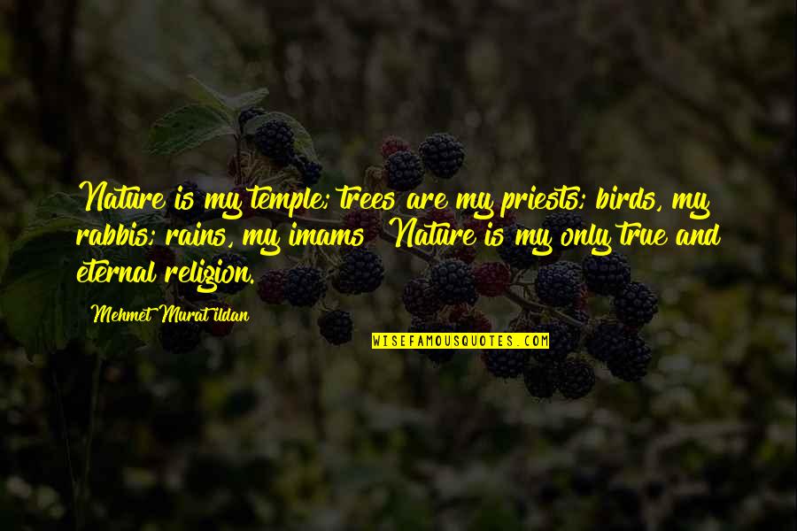 Anil Panachooran Quotes By Mehmet Murat Ildan: Nature is my temple; trees are my priests; Anil Panachooran Quotes By Mehmet Murat Ildan: Nature is my temple; trees are my priests;