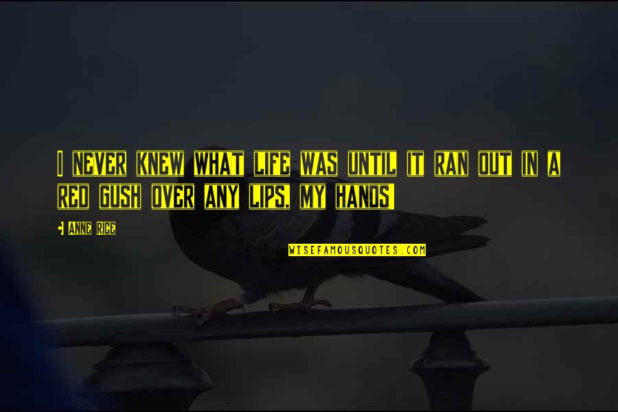 Animais Vertebrados Quotes By Anne Rice: I never knew what life was until it