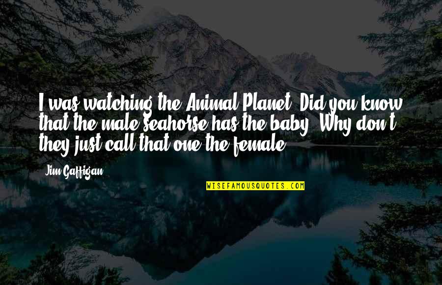 Animal And Baby Quotes By Jim Gaffigan: I was watching the Animal Planet. Did you