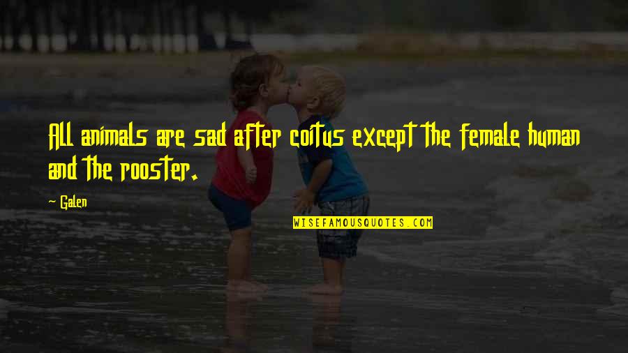 Animal And Human Quotes By Galen: All animals are sad after coitus except the