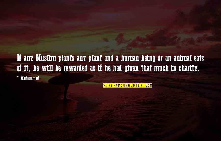 Animal And Human Quotes By Muhammad: If any Muslim plants any plant and a Animal And Human Quotes By Muhammad: If any Muslim plants any plant and a