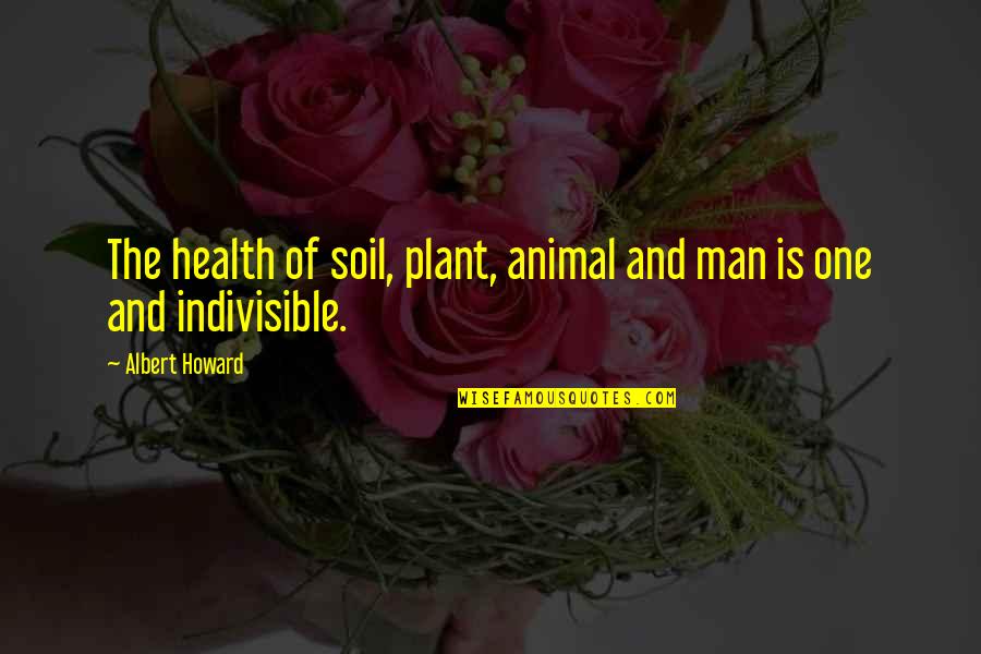 Animal And Man Quotes By Albert Howard: The health of soil, plant, animal and man