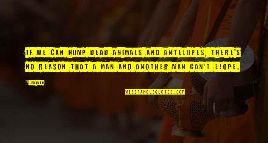 Animal And Man Quotes By Eminem: If we can hump dead animals and antelopes,