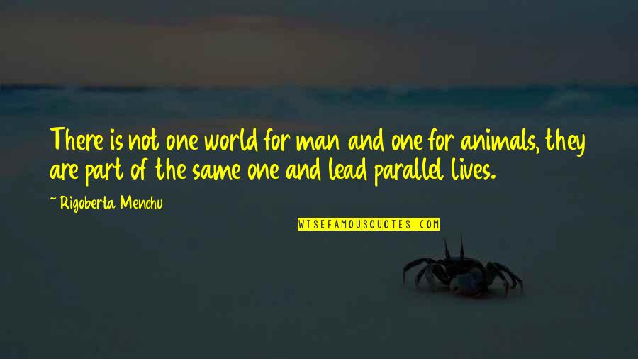 Animal And Man Quotes By Rigoberta Menchu: There is not one world for man and