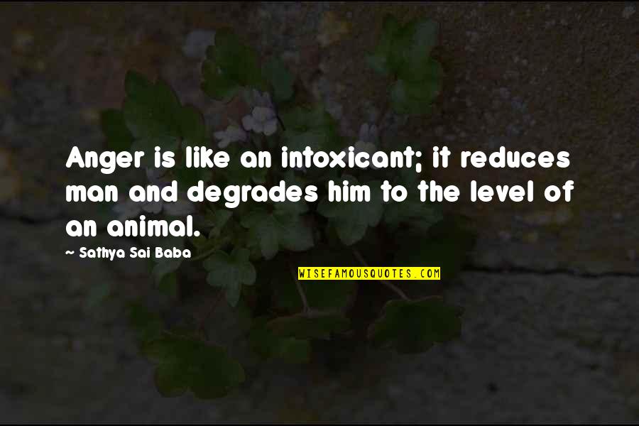 Animal And Man Quotes By Sathya Sai Baba: Anger is like an intoxicant; it reduces man