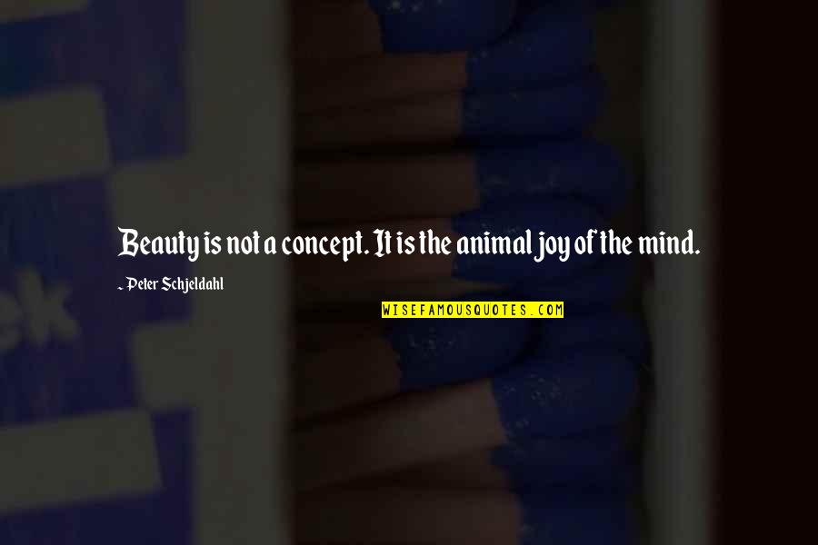 Animal Beauty Quotes By Peter Schjeldahl: Beauty is not a concept. It is the
