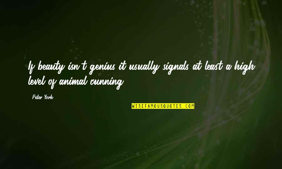 Animal Beauty Quotes By Peter York: If beauty isn't genius it usually signals at