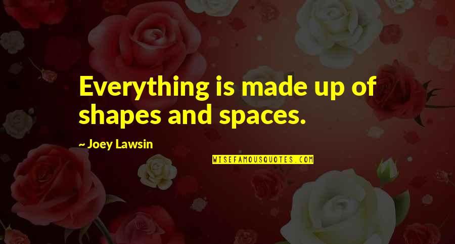 Animal Bodybuilding Quotes By Joey Lawsin: Everything is made up of shapes and spaces.