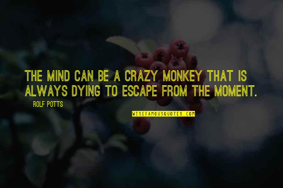 Animal Caregivers Quotes By Rolf Potts: The mind can be a crazy monkey that