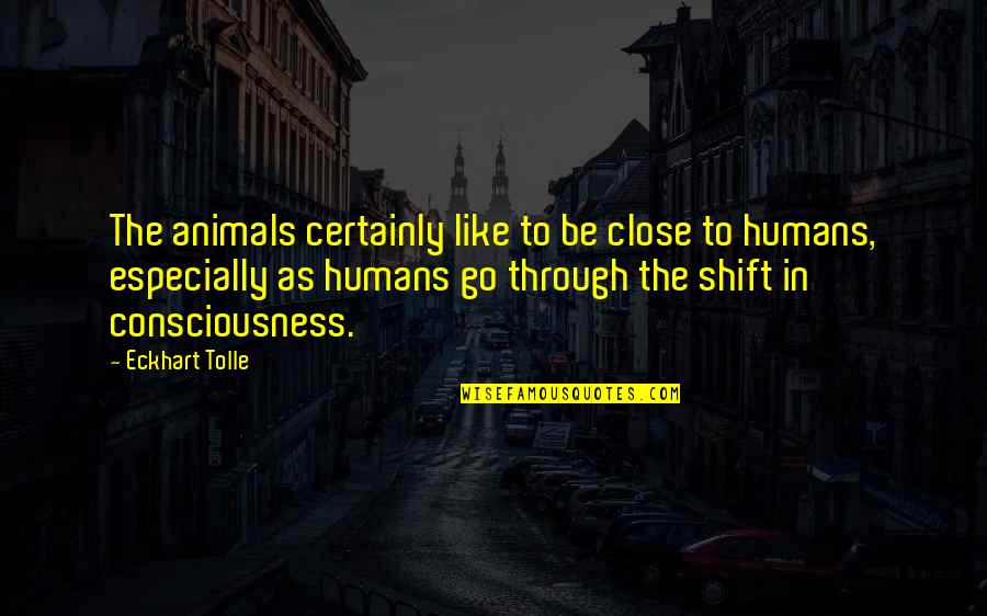 Animal Consciousness Quotes By Eckhart Tolle: The animals certainly like to be close to Animal Consciousness Quotes By Eckhart Tolle: The animals certainly like to be close to