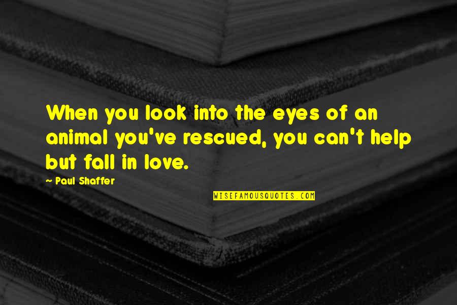 Animal Eyes Quotes By Paul Shaffer: When you look into the eyes of an