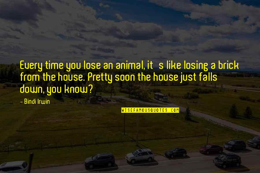 Animal House Quotes By Bindi Irwin: Every time you lose an animal, it's like