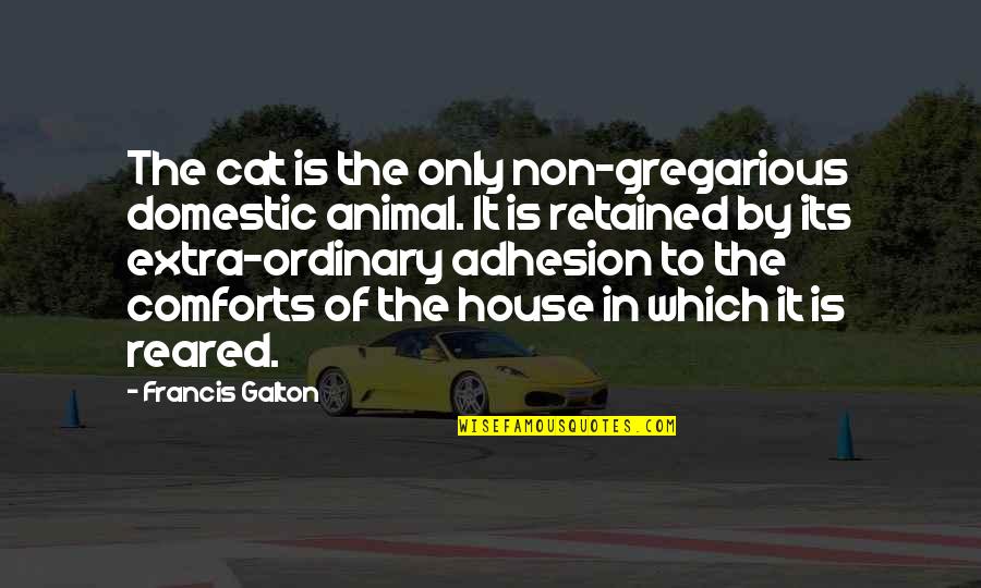 Animal House Quotes By Francis Galton: The cat is the only non-gregarious domestic animal.