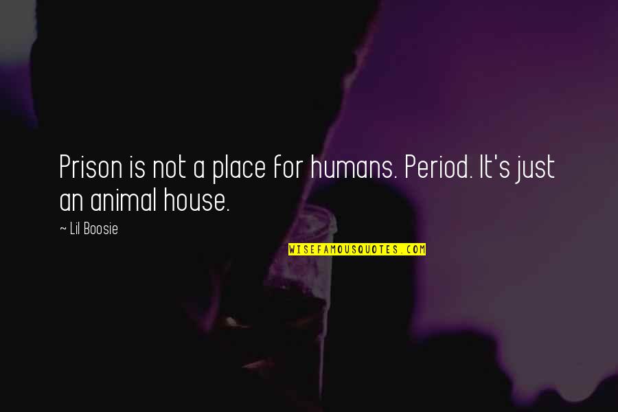 Animal House Quotes By Lil Boosie: Prison is not a place for humans. Period.