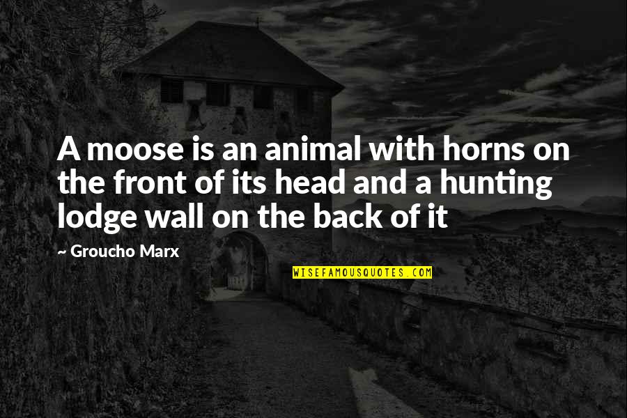 Animal Inspiration Quotes By Groucho Marx: A moose is an animal with horns on