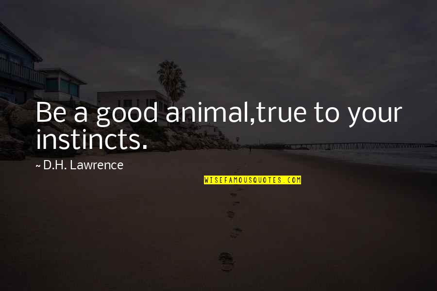 Animal Instincts Quotes By D.H. Lawrence: Be a good animal,true to your instincts.