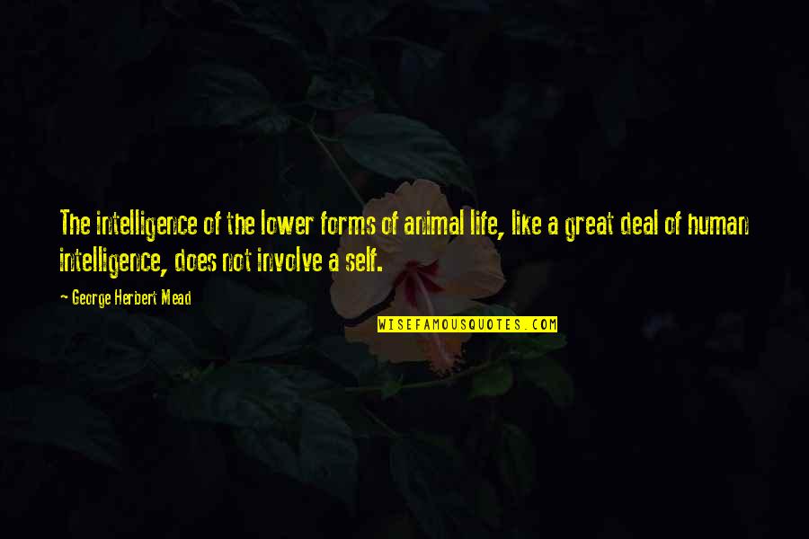 Animal Intelligence Quotes By George Herbert Mead: The intelligence of the lower forms of animal