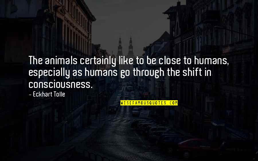 Animal Like Humans Quotes By Eckhart Tolle: The animals certainly like to be close to
