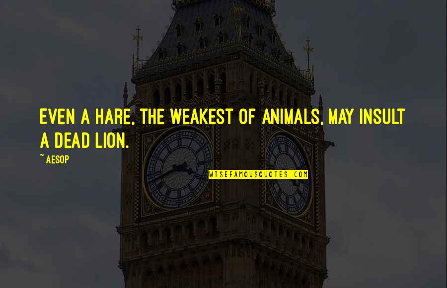 Animal Lions Quotes By Aesop: Even a hare, the weakest of animals, may