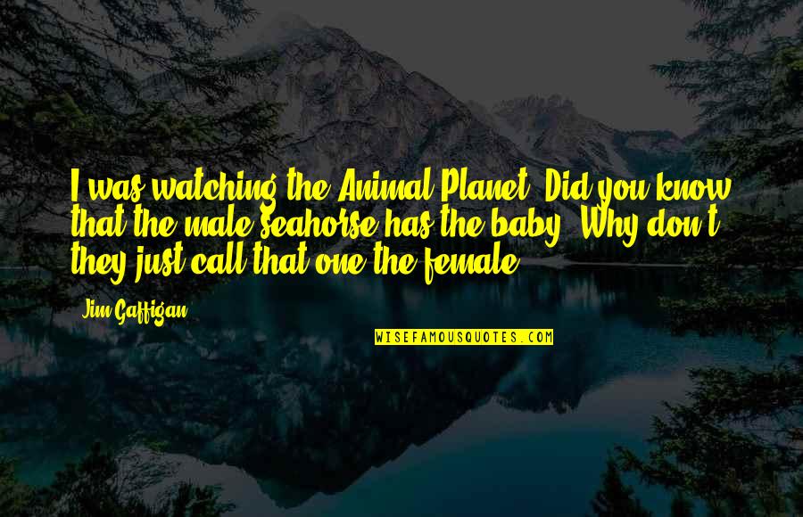 Animal Planet Quotes By Jim Gaffigan: I was watching the Animal Planet. Did you