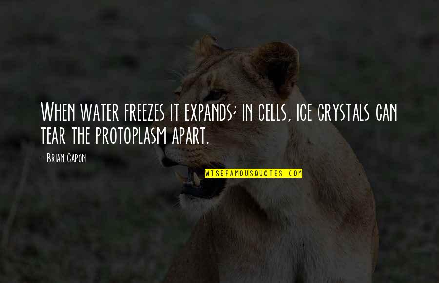 Animal Research Quotes By Brian Capon: When water freezes it expands; in cells, ice
