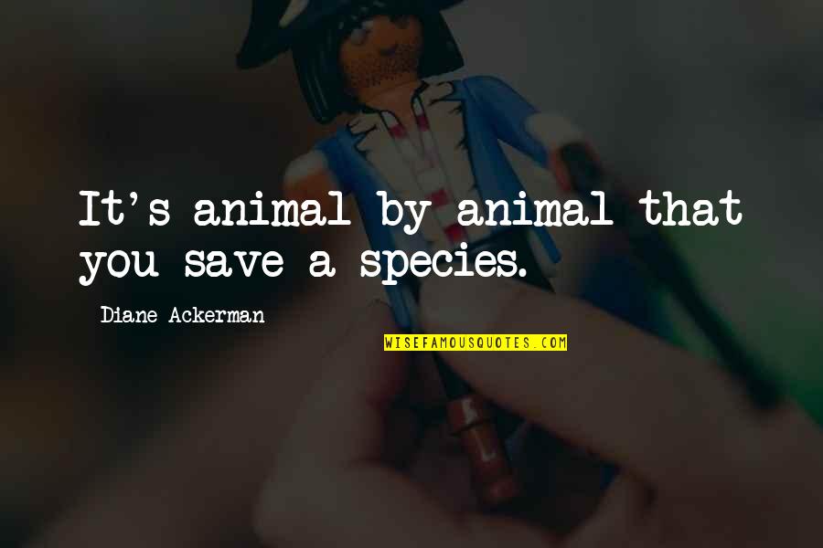 Animal Rights Quotes By Diane Ackerman: It's animal by animal that you save a