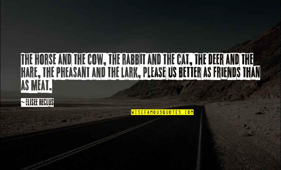 Animal Rights Quotes By Elisee Reclus: The horse and the cow, the rabbit and