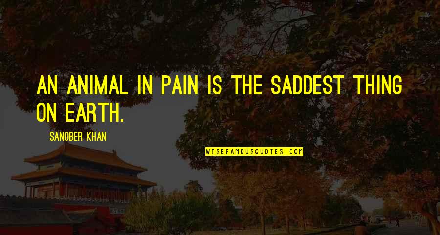 Animal Rights Quotes By Sanober Khan: An animal in pain is the saddest thing