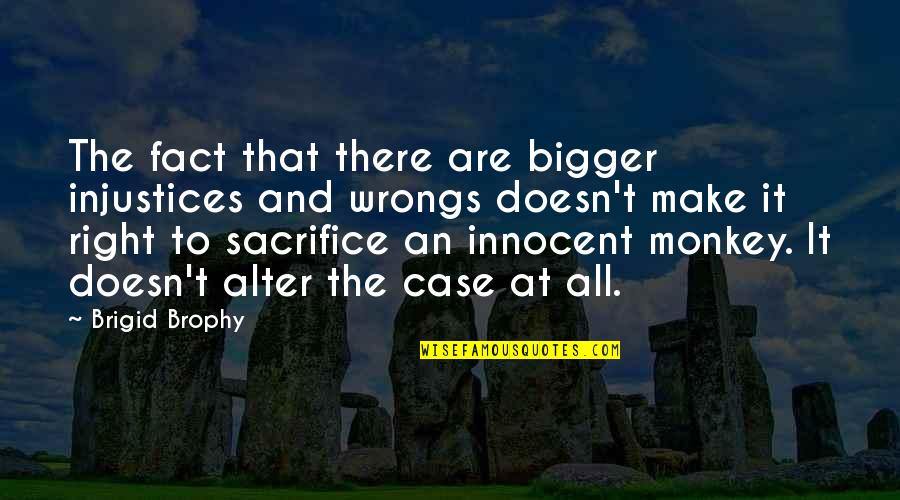 Animal Sacrifice Quotes By Brigid Brophy: The fact that there are bigger injustices and