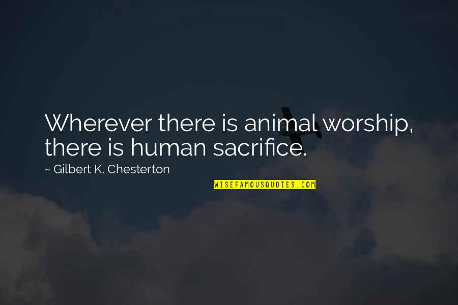 Animal Sacrifice Quotes By Gilbert K. Chesterton: Wherever there is animal worship, there is human