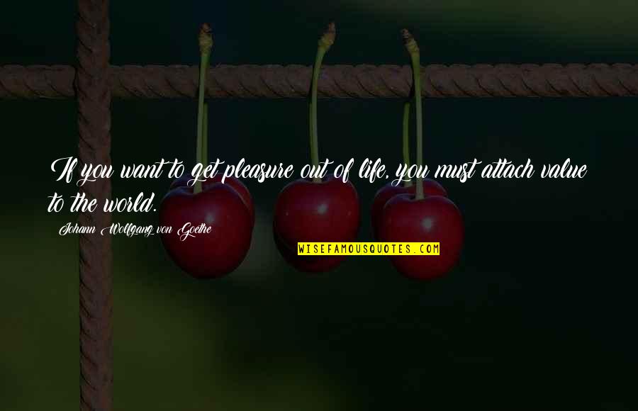 Animalise Quotes By Johann Wolfgang Von Goethe: If you want to get pleasure out of