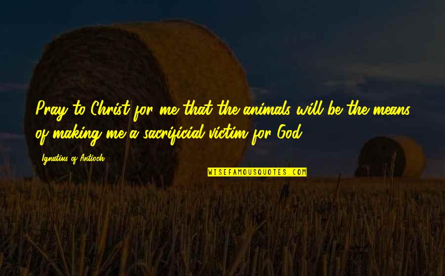 Animals And God Quotes By Ignatius Of Antioch: Pray to Christ for me that the animals