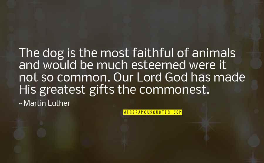 Animals And God Quotes By Martin Luther: The dog is the most faithful of animals
