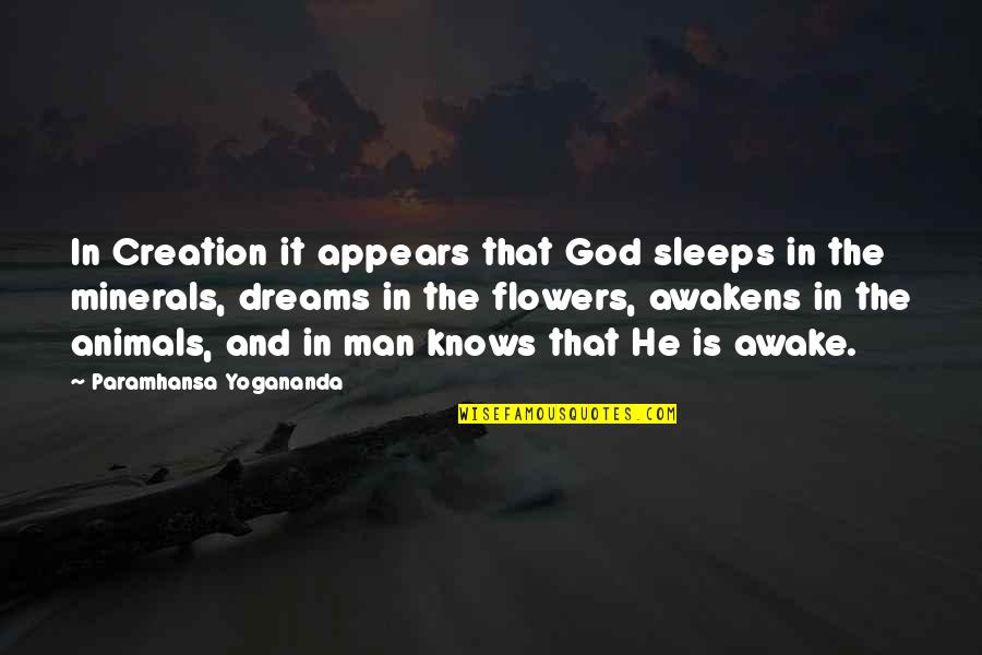 Animals And God Quotes By Paramhansa Yogananda: In Creation it appears that God sleeps in