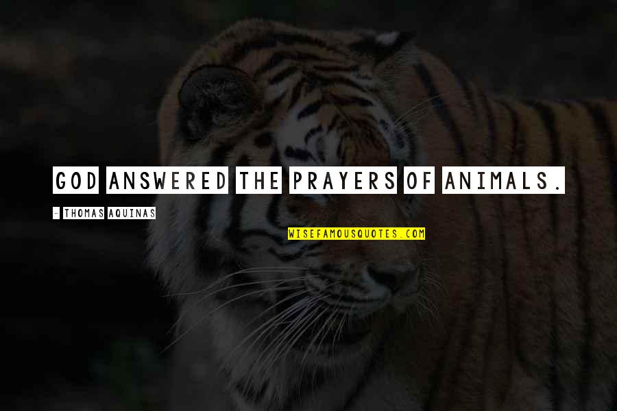 Animals And God Quotes By Thomas Aquinas: God answered the prayers of animals.