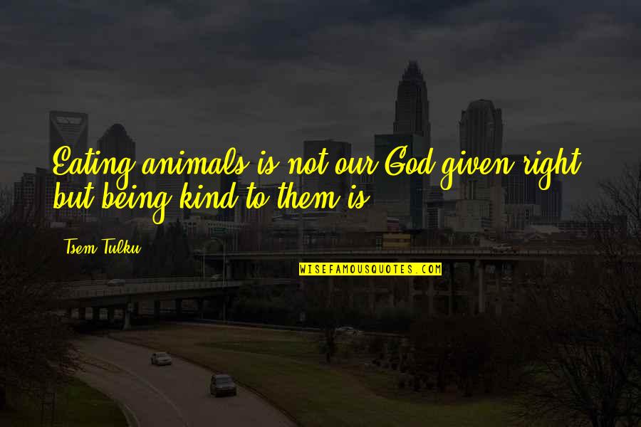 Animals And God Quotes By Tsem Tulku: Eating animals is not our God-given right, but