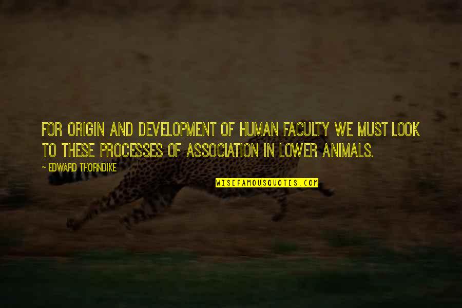 Animals And Human Quotes By Edward Thorndike: For origin and development of human faculty we