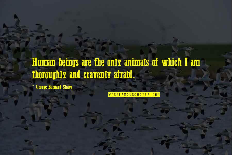 Animals And Human Quotes By George Bernard Shaw: Human beings are the only animals of which