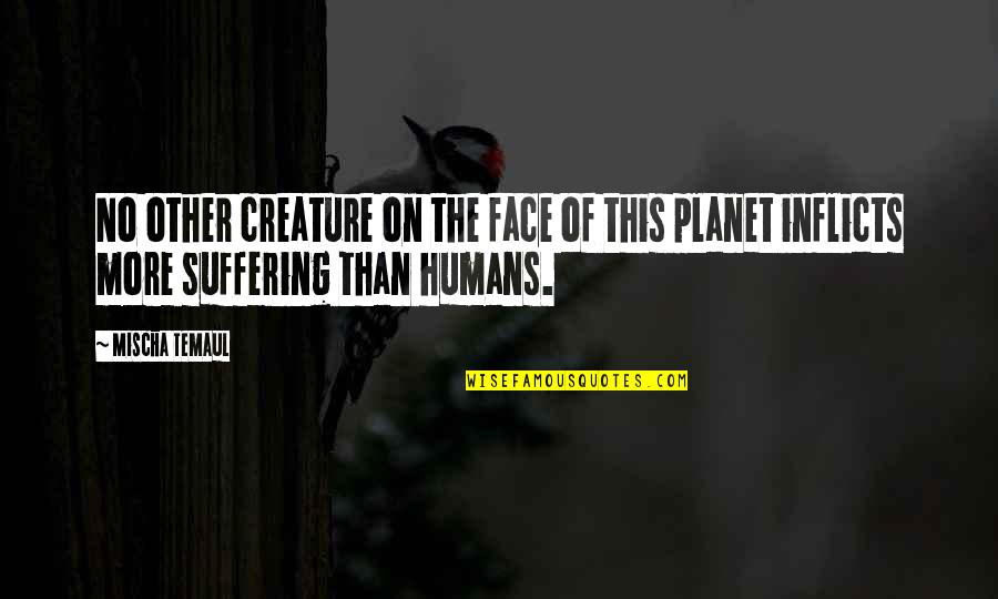 Animals And Human Quotes By Mischa Temaul: No other creature on the face of this