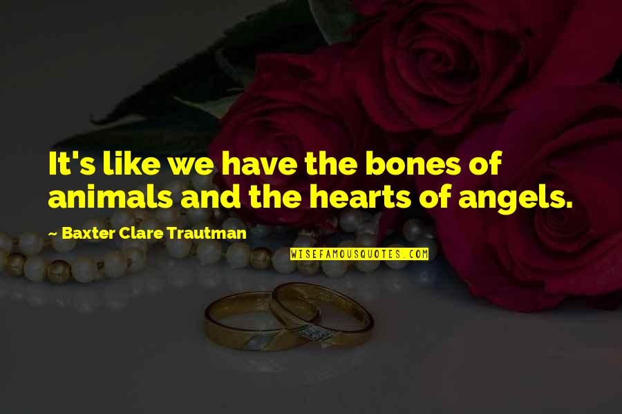 Animals And Humanity Quotes By Baxter Clare Trautman: It's like we have the bones of animals