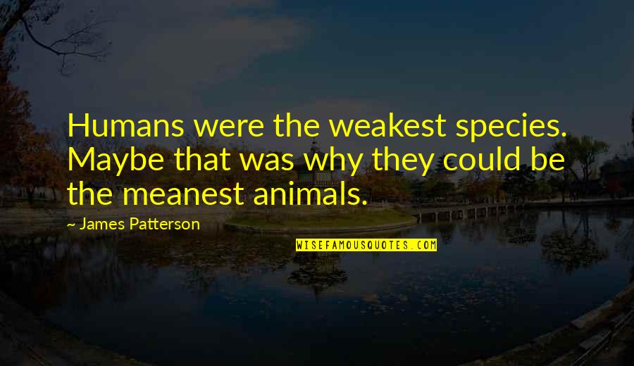 Animals And Humanity Quotes By James Patterson: Humans were the weakest species. Maybe that was