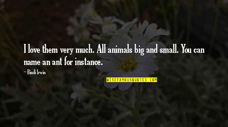 Animals And Love Quotes By Bindi Irwin: I love them very much. All animals big