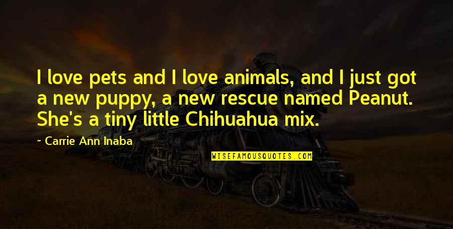 Animals And Love Quotes By Carrie Ann Inaba: I love pets and I love animals, and