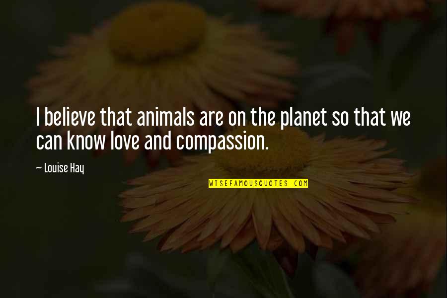 Animals And Love Quotes By Louise Hay: I believe that animals are on the planet