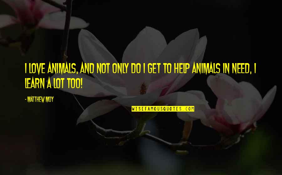 Animals And Love Quotes By Matthew Moy: I love animals, and not only do I