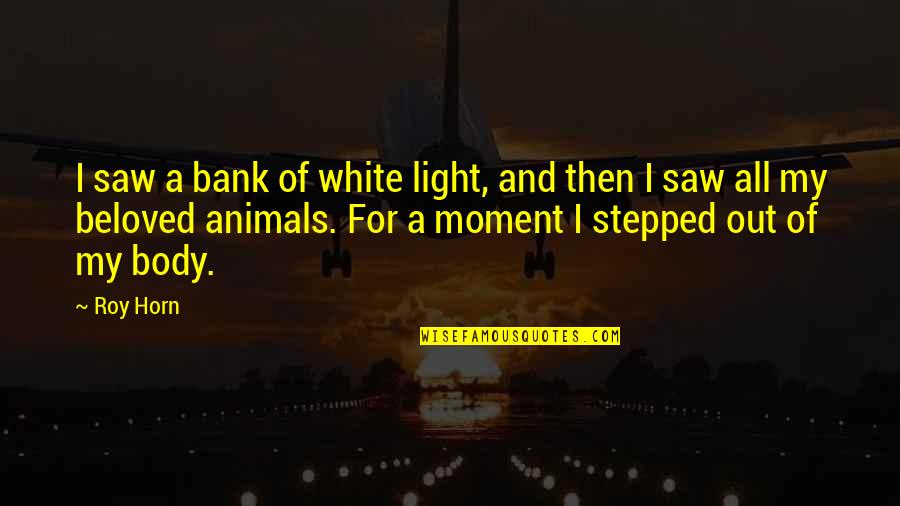 Animals And Quotes By Roy Horn: I saw a bank of white light, and