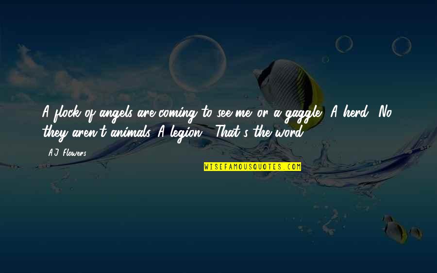 Animals Are Angels Quotes By A.J. Flowers: A flock of angels are coming to see